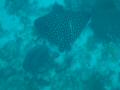 Tortola BVI_074